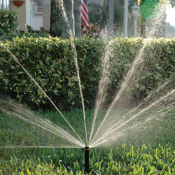 Amazon.com : Adjustable Multi-Head Nozzles Spraying Porous