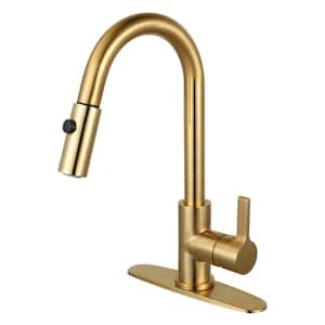 Continental Single-Handle Pull-Down Sprayer Kitchen Faucet in Brushed Brass