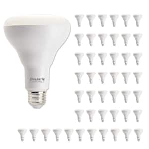 65-Watt Equivalent BR30 Medium Screw LED Light Bulb Soft White Light 3000K (48-Pack)