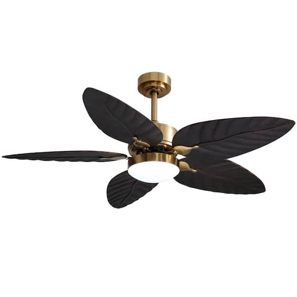 52 in. Smart Indoor Black and Gold Banana Leaf-Shaped 5 Blades Ceiling Fans with Lights with Remote Included