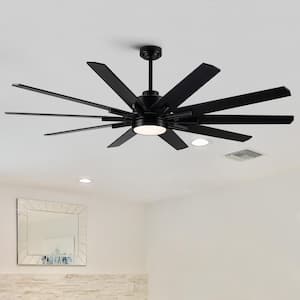 Zeus 72 in. Indoor/Outdoor Black Dual-Finish Ceiling Fan with Color Changing Technology