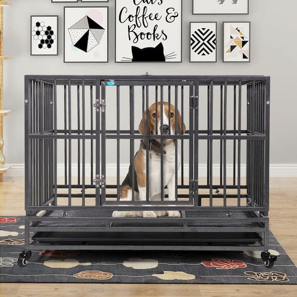 3ft by 2ft outlet dog cage