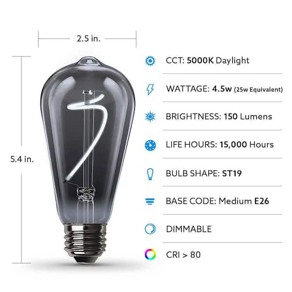 Feit Electric 25-Watt Equivalent A19 Dimmable LED Smoke Glass Vintage Edison Light Bulb With Curve Filament Daylight