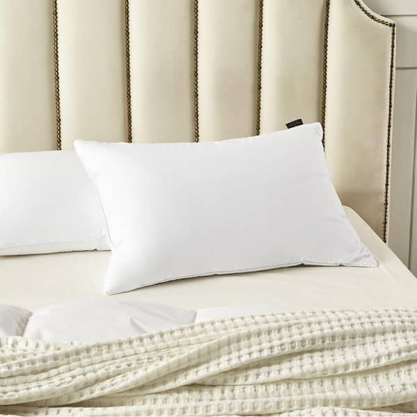 Delara Premium Organic Cotton Pillow Insert Set of 2, 100% White Duck  Feather Filling, Down Proof, Organic Cotton Indoor Throw Pillows Insert for  Couch, Sofa, Bed (20X20) 