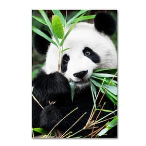 Giant Panda I by Philippe Hugonnard Hidden Frame Animal 16 in. x 24 in.