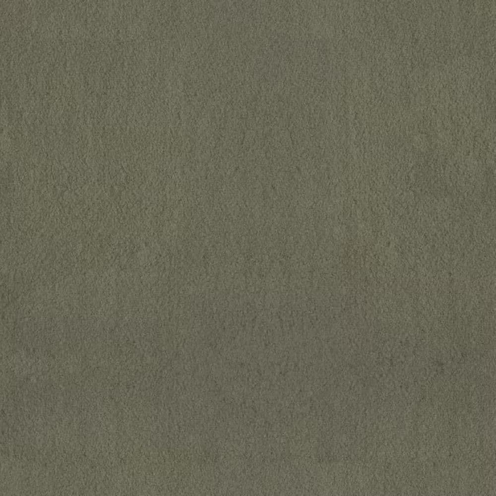 8 in. x 8 in. Texture Carpet Sample-Dreamy Daze I-Color Lily Pad price history on PriceWatchPro