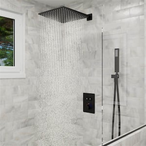 Double Handle 2 -Spray Shower Faucet 2.0 GPM with Pressure Balance, Anti Scald in. Matte Black(Valve Included)