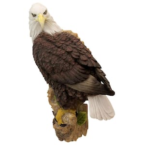 17 in. H American Bald Eagle Bird of Prey Wall Sculpture