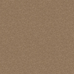 Alpine - Elegance - Brown 17.3 oz. Polyester Texture Installed Carpet
