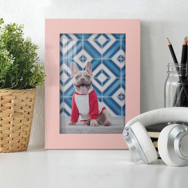 Modern 5 in. x 7 in. Pink Picture Frame (Set of 4)