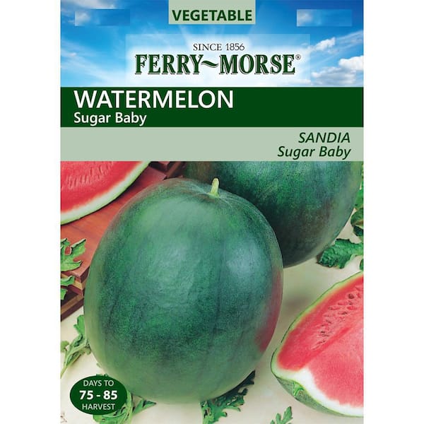Food Garden - 20 Vegetable Seed Packets – Sandia Seed Company