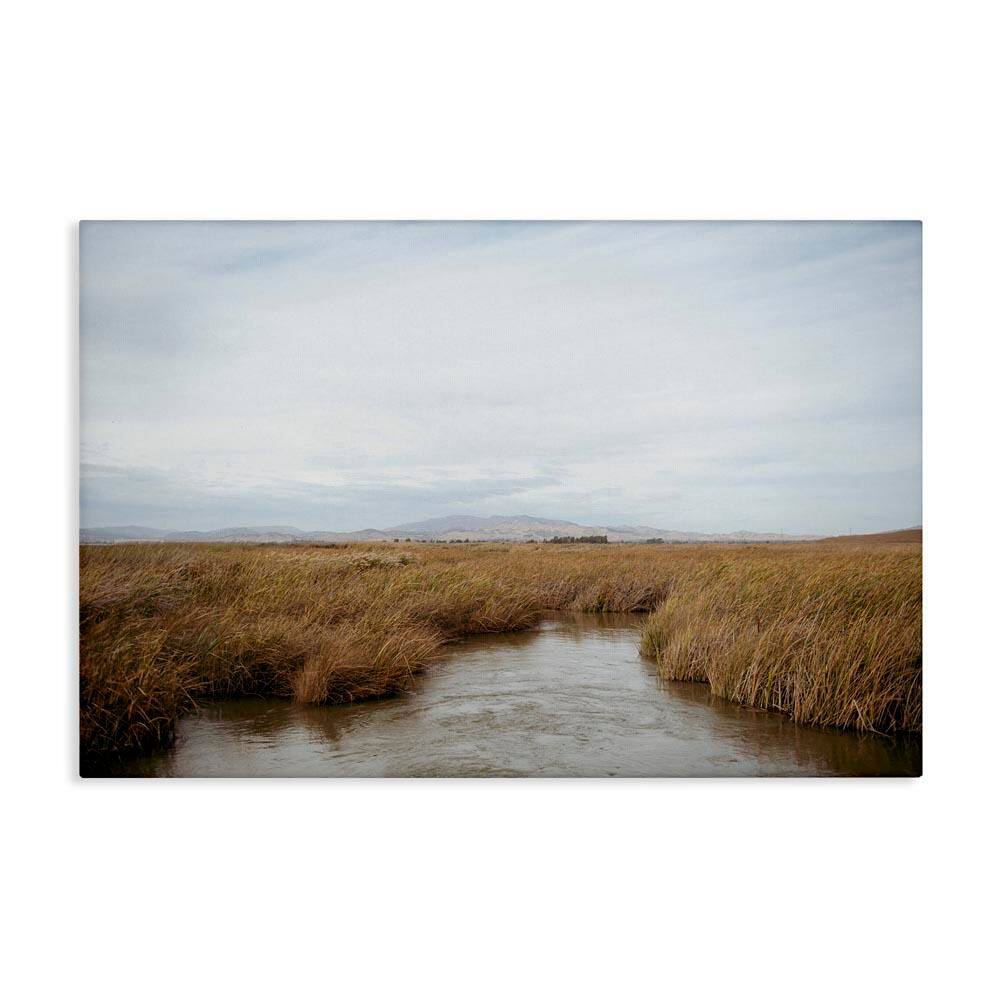 Marshland Stream View by Crystal Lynn Collins Unframed Nature Graphic Art Print 24 in. x 36 in. price history on PriceWatchPro