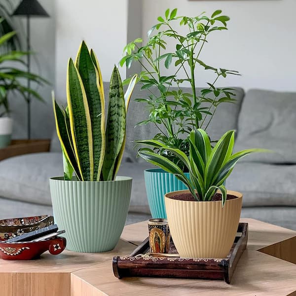 Home, Large Ceramic Flower Pots for Plants