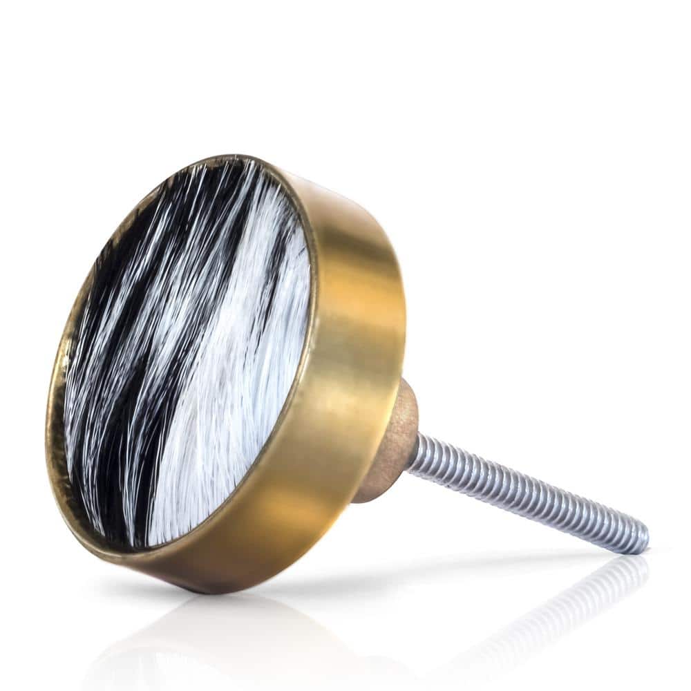 Modern Brass Round Knob with Mounting Hardware