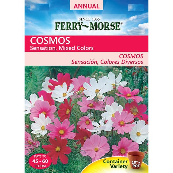 Ferry-Morse Cosmos Sensation Mixed Colors Flower Seed