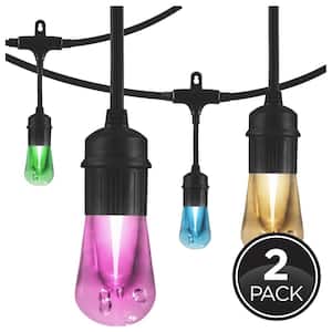 24 Bulbs 48 ft. Outdoor/Indoor Black Vintage LED String Lights with Remote, Acrylic Edison Bulbs (2-Pack)