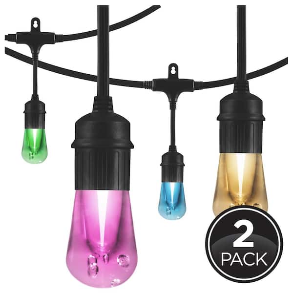 Enbrighten 24 Bulbs 48 ft. Outdoor/Indoor Black Vintage LED String Lights with Remote, Acrylic Edison Bulbs (2-Pack)