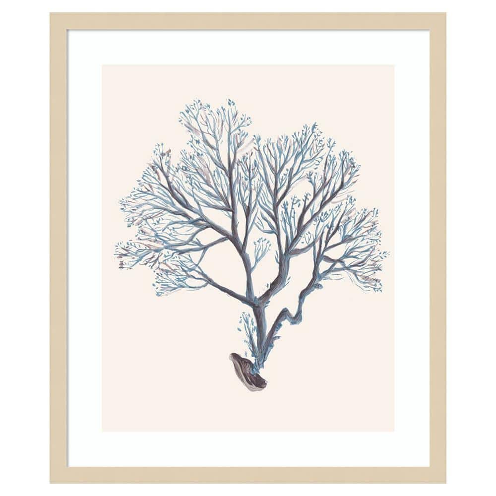 Indigo Reef III Svelte Natural Framed Wall Art Print