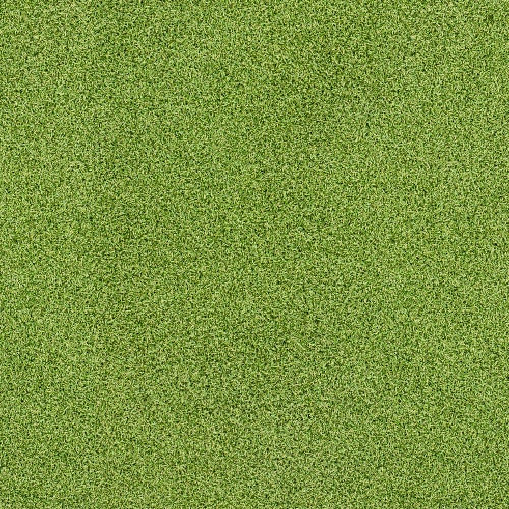 MSI Putting Green 15 ft. Wide x 16 mm Cut to Length Green Artificial Grass  Carpet LTRFRPUG15X100 - The Home Depot