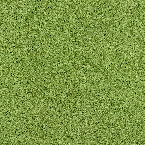 Putting Green 15 ft. Wide x 16 mm Cut to Length Green Artificial Turf
