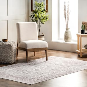 Hettie Transitional Tribal Machine Washable Light Gray 5 ft. x 8 ft. Area Rug