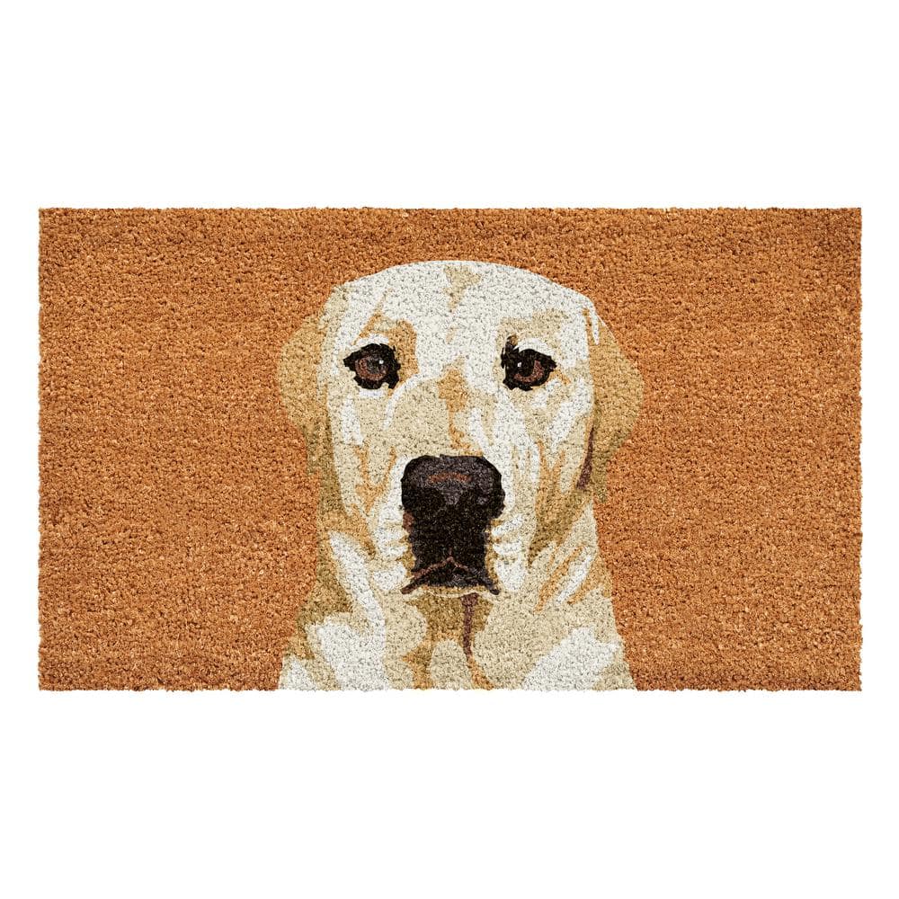 "Cream Labrador Doormat 24"" x 36""" price history on PriceWatchPro