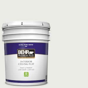 5 gal. #PPU12-12 Gallery White Ceiling Flat Interior Paint