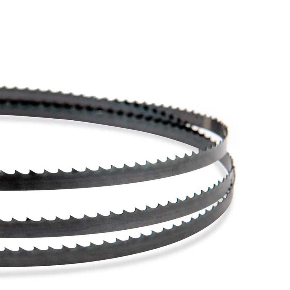 59-1/4 x 1/4 in. x 24 TPI Band Saw Blades for Craftsman, Ryobi, B and D, Skil Protect and Tradesman 9 in. Bandsaw 2-Pack price history on PriceWatchPro