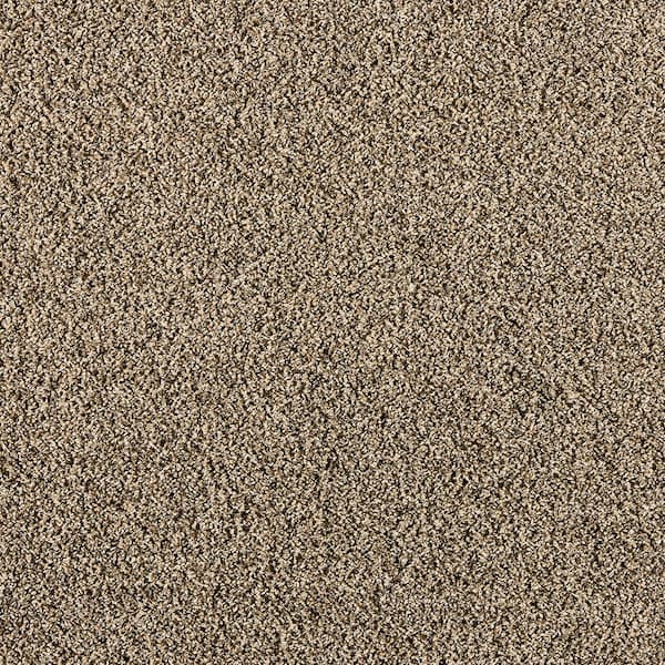 Home Decorators Collection Radiant Retreat III Walnut Brown 73 oz. Polyester Textured Carpet - Installation Required