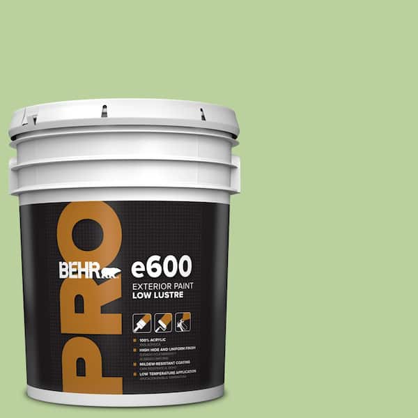 BEHR PRO 5 gal. #P380-4 Four Leaf Clover Low Luster Exterior Paint