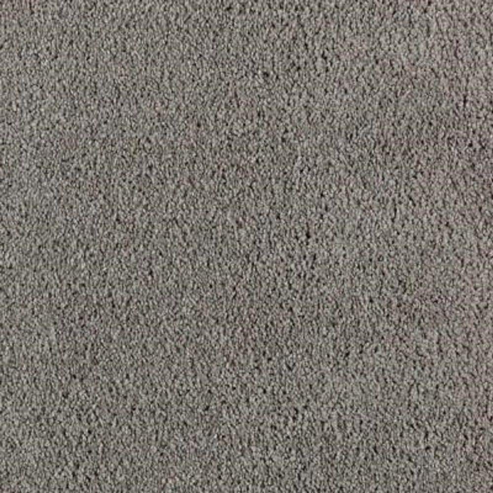 8 in. x 8 in. Texture Carpet Sample - Ambrosina II -Color Pinstripe price history on PriceWatchPro