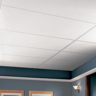 Fine Fissured 1 ft. x 1 ft. Beveled Tongue and Groove Ceiling Tile (40 sq. ft./case)