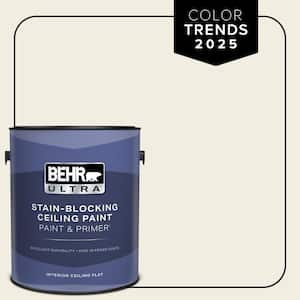 1 gal. Designer Collection #DC-003 Blank Canvas Ceiling Flat Interior Paint & Primer