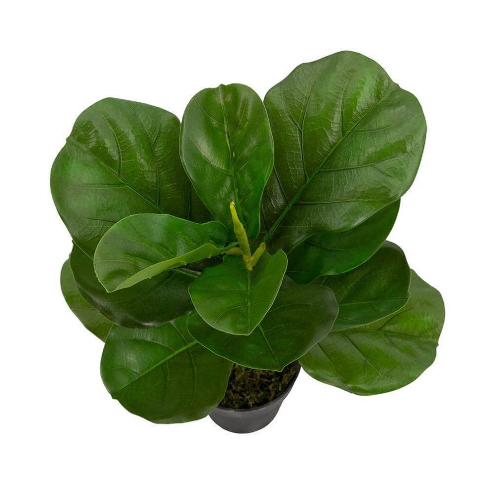 Tall Artificial Fiddle-Leaf Fig Tree in Woven Basket Set