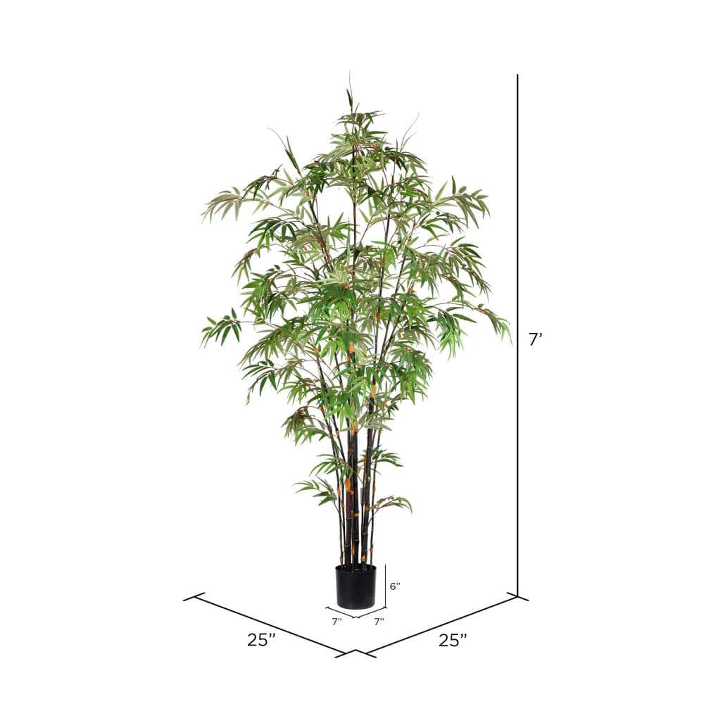 Majestic 7' Potted Black Japanese Bamboo Floor Plant