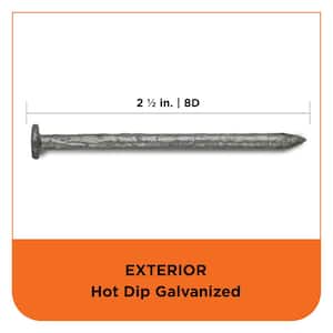 2-1/2 in. (8D) Hot Dipped Galvanized Smooth Common Nail 25 lbs. (2325-Count)