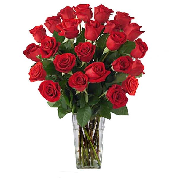The Ultimate Bouquet Gorgeous Red Roses Bouquet in Clear Vase (24 Stem) Overnight Shipping Included