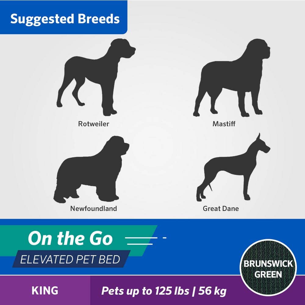 On the Go Elevated Pet Bed, King, Brunswick Green