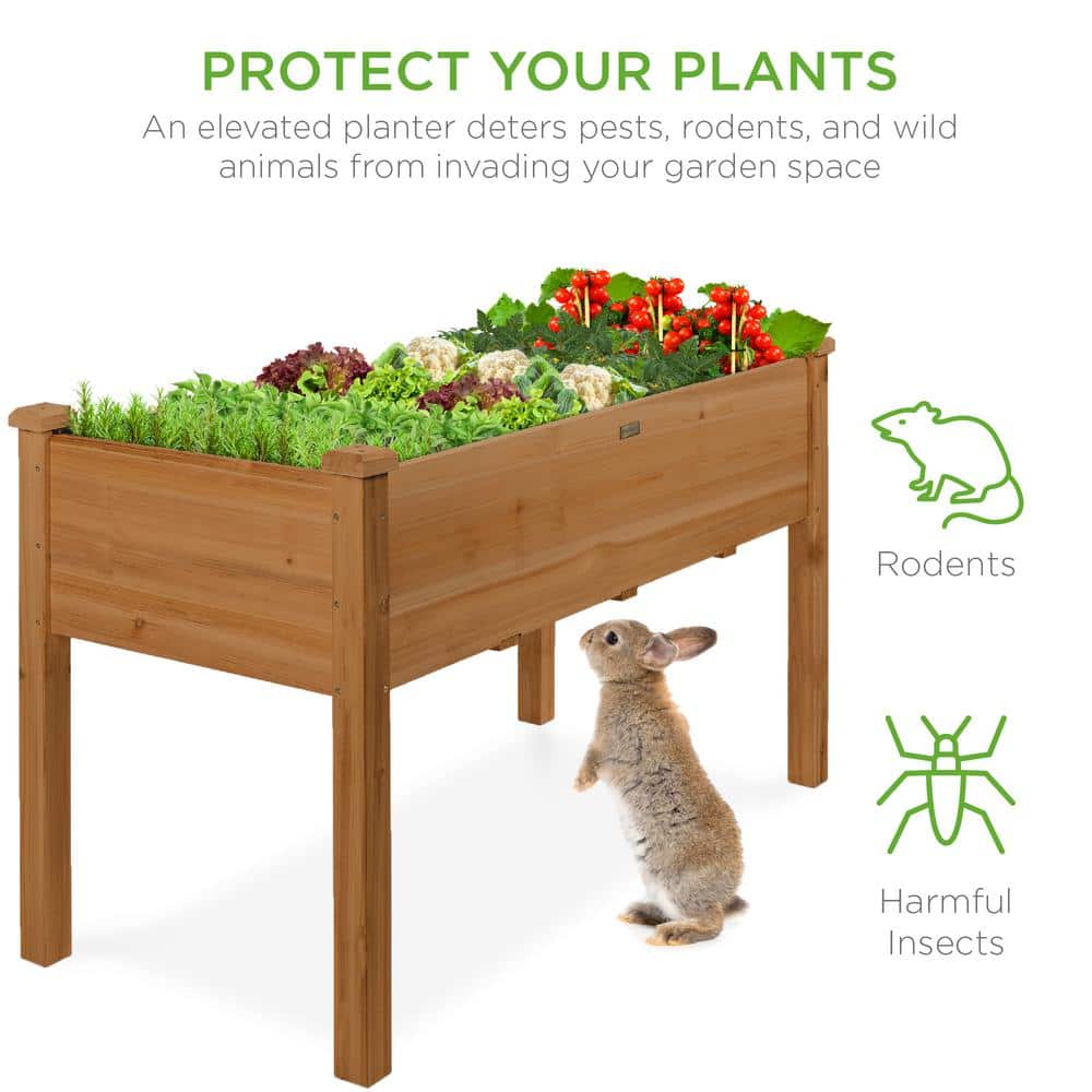 Acorn Brown Fir Wood Elevated Garden Planter Box