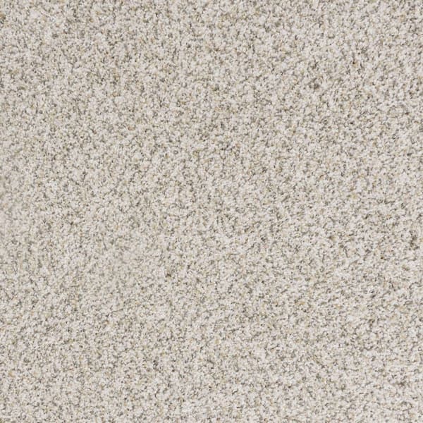 8 in. x 8 in. Texture Carpet Sample-Bolter I-Color Solar Surge