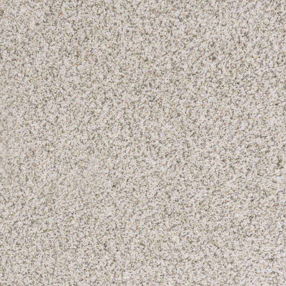 8 in. x 8 in. Texture Carpet Sample-Bolter II-Color Solar Surge price history on PriceWatchPro