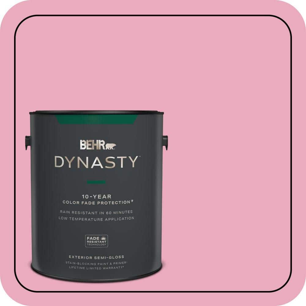 1 gal. #T11-14 Kawaii Semi-Gloss Enamel Exterior Stain-Blocking Paint & Primer price history on PriceWatchPro