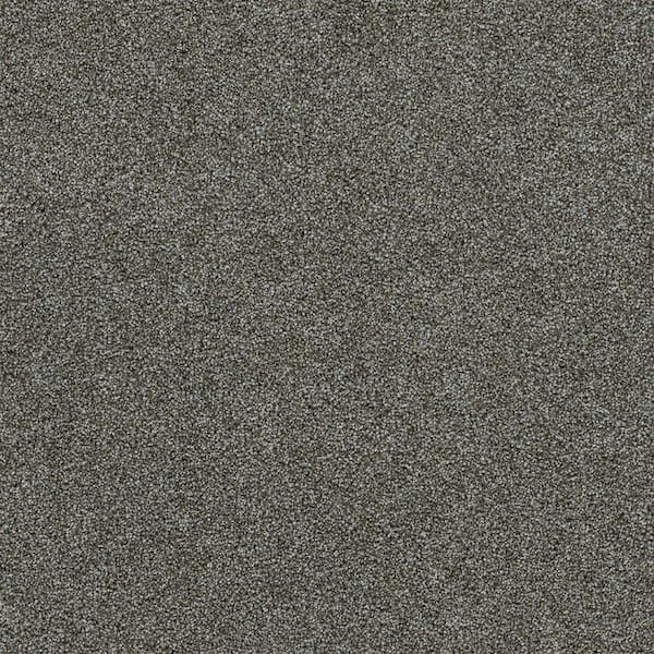 Cinderella Soft I-Velvet Gray-60 oz. SD Polyester Texture Carpet - Installation Required