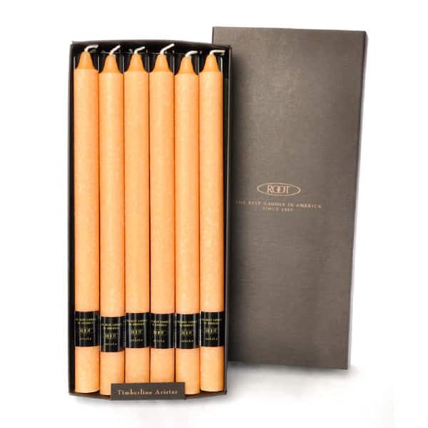 ROOT CANDLES 12 in. Timberline Arista Mandarin Dinner Candle (Box of 12)
