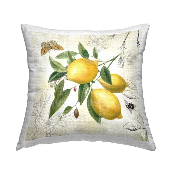 Stupell Industries Country Fruits & Insects Outdoor Printed Throw Pillow by Nan