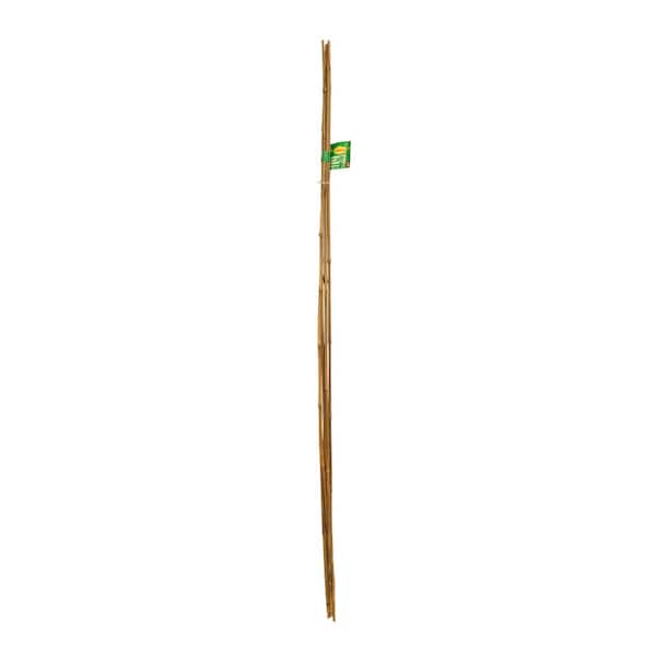 6 ft. Bambook Stakes (6-Pack)