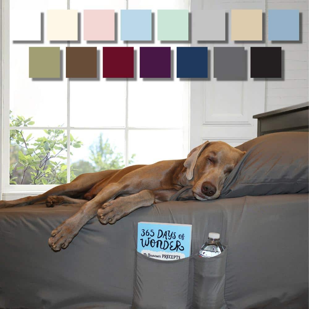 Black Queen Ultra Soft Microfiber 4-Piece Sheet Set