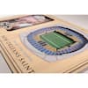 YouTheFan NFL Tennessee Titans 3D StadiumView Picture Frame - Nissan  Stadium 8493229 - The Home Depot