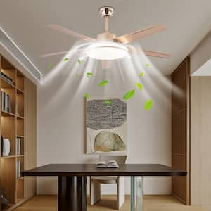 52 in. Indoor Gold Modern 6-Speed Ceiling Fan with Adjustable White Integrated LED, Reversible Motor and Remote