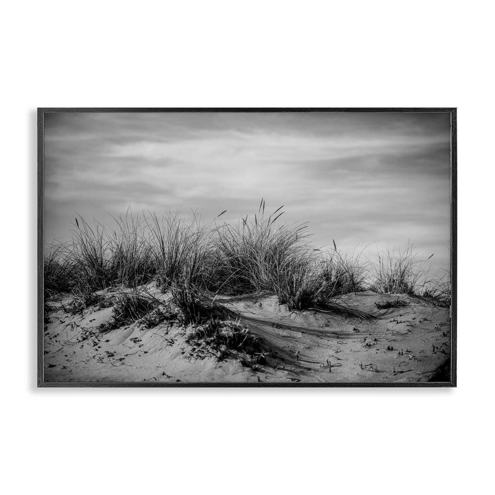 Point Reyes Beach Dunes by Crystal Lynn Collins Black Framed Nature Giclee Art Print 12 in. x 18 in. price history on PriceWatchPro